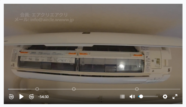 動画プレイヤー全体