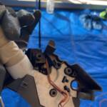 エアコン完全分解作業の参考画像